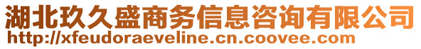 湖北玖久盛商務信息咨詢有限公司