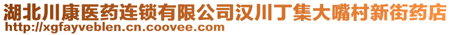 湖北川康醫(yī)藥連鎖有限公司漢川丁集大嘴村新街藥店