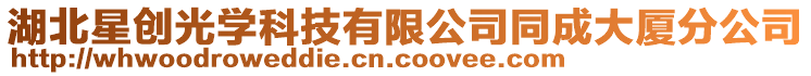 湖北星創光學科技有限公司同成大廈分公司