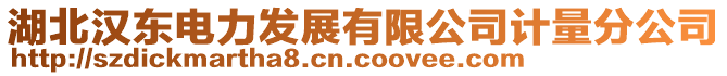 湖北漢東電力發(fā)展有限公司計(jì)量分公司