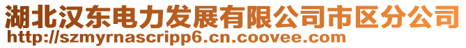 湖北漢東電力發展有限公司市區分公司