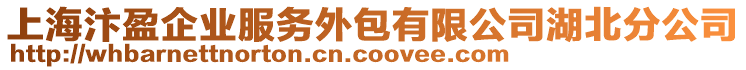 上海汴盈企業(yè)服務(wù)外包有限公司湖北分公司