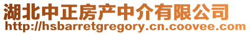 湖北中正房產中介有限公司