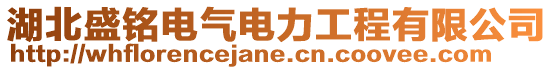 湖北盛銘電氣電力工程有限公司