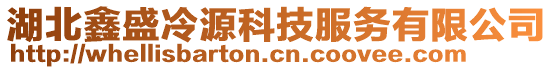 湖北鑫盛冷源科技服務(wù)有限公司