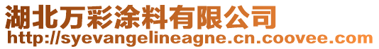 湖北萬彩涂料有限公司