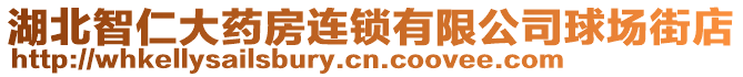湖北智仁大藥房連鎖有限公司球場街店