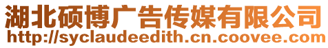 湖北碩博廣告傳媒有限公司