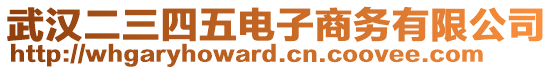 武漢二三四五電子商務(wù)有限公司