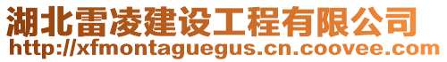 湖北雷凌建設(shè)工程有限公司