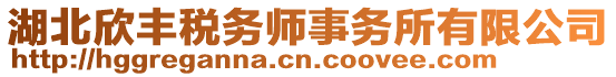 湖北欣豐稅務師事務所有限公司