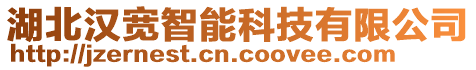 湖北汉宽智能科技有限公司