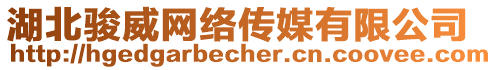 湖北駿威網(wǎng)絡(luò)傳媒有限公司