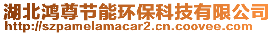 湖北鴻尊節(jié)能環(huán)?？萍加邢薰? style=