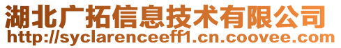 湖北廣拓信息技術(shù)有限公司