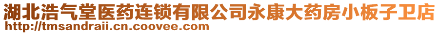 湖北浩氣堂醫(yī)藥連鎖有限公司永康大藥房小板子衛(wèi)店