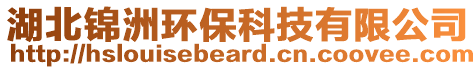 湖北錦洲環(huán)保科技有限公司