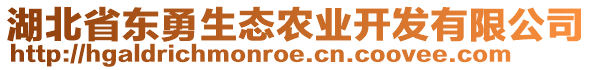 湖北省東勇生態(tài)農業(yè)開發(fā)有限公司