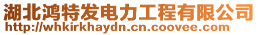 湖北鴻特發(fā)電力工程有限公司