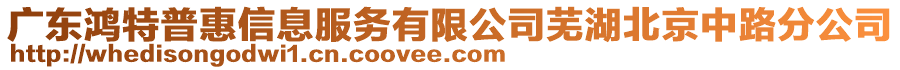 廣東鴻特普惠信息服務有限公司蕪湖北京中路分公司
