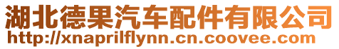 湖北德果汽車配件有限公司