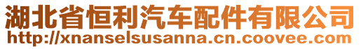 湖北省恒利汽車(chē)配件有限公司