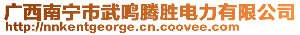 廣西南寧市武鳴騰勝電力有限公司