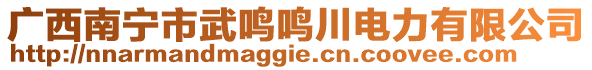 廣西南寧市武鳴鳴川電力有限公司