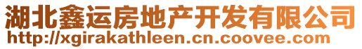 湖北鑫運(yùn)房地產(chǎn)開(kāi)發(fā)有限公司