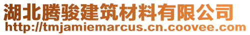 湖北騰駿建筑材料有限公司