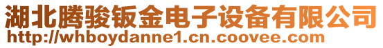 湖北騰駿鈑金電子設(shè)備有限公司