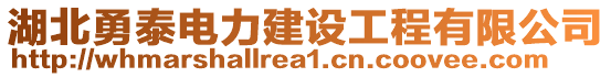 湖北勇泰電力建設工程有限公司