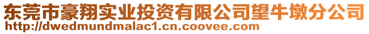 東莞市豪翔實業(yè)投資有限公司望牛墩分公司