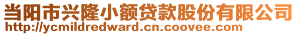 當(dāng)陽(yáng)市興隆小額貸款股份有限公司