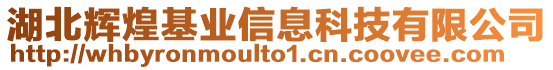 湖北輝煌基業(yè)信息科技有限公司