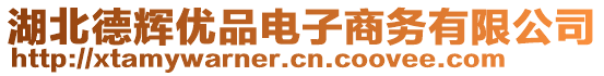 湖北德輝優(yōu)品電子商務有限公司