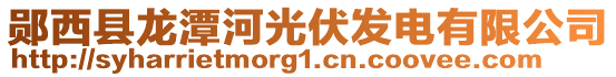 鄖西縣龍?zhí)逗庸夥l(fā)電有限公司