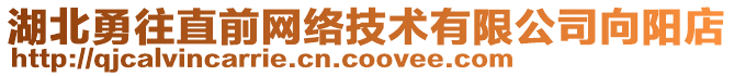 湖北勇往直前網(wǎng)絡(luò)技術(shù)有限公司向陽店