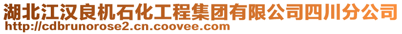 湖北江漢良機(jī)石化工程集團(tuán)有限公司四川分公司