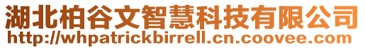 湖北柏谷文智慧科技有限公司