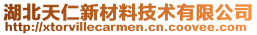 湖北天仁新材料技术有限公司