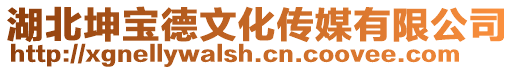 湖北坤寶德文化傳媒有限公司