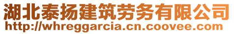 湖北泰揚(yáng)建筑勞務(wù)有限公司