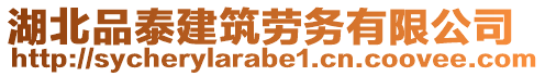 湖北品泰建筑勞務(wù)有限公司