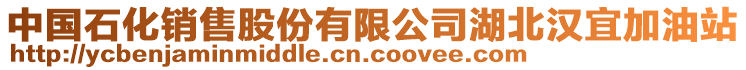 中國石化銷售股份有限公司湖北漢宜加油站