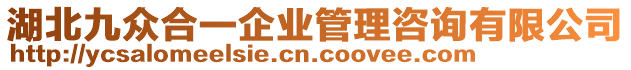 湖北九眾合一企業(yè)管理咨詢有限公司