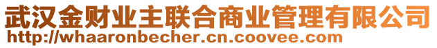 武漢金財業(yè)主聯(lián)合商業(yè)管理有限公司