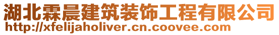 湖北霖晨建筑裝飾工程有限公司