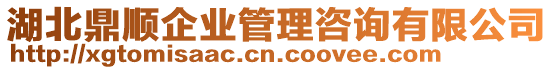 湖北鼎順企業(yè)管理咨詢有限公司