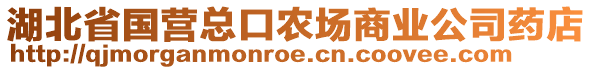 湖北省國營總口農(nóng)場(chǎng)商業(yè)公司藥店